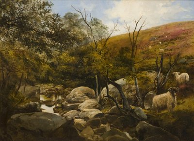 On the Black Burn, near Rothbury by Robinson Elliott